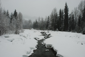 2009-03-WHISTLER WITH MUSSATTOS 31.jpg